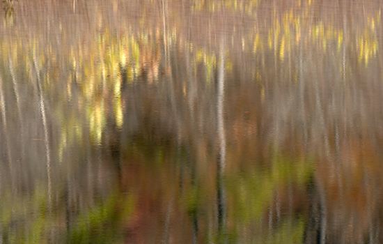 Fort Payne;Alabama;Little River Canyon National Preserve;Reflections;Reflection;Rivers;River;Riverbed;Water;Flowing;waterway;stream;creek;brook;Textures;Shapes;Patterns;Abstractions;Abstract